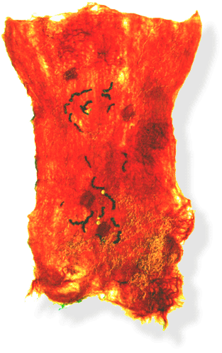 Burning Bush