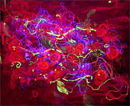 'Burning his Roses' - click here to see an enlargement (opens in a new window)