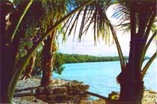 Click here to see an enlargement