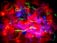 Click here to go to the Art Lights Gallery