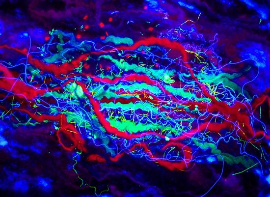 Interior design lighting ideas - art lights by UK fibre artist Mary-Clare Buckle - 'Tokelau - Deep Down' (lights on)