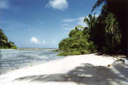 On the beach